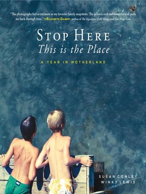 cover image of Stop Here, This is the Place
